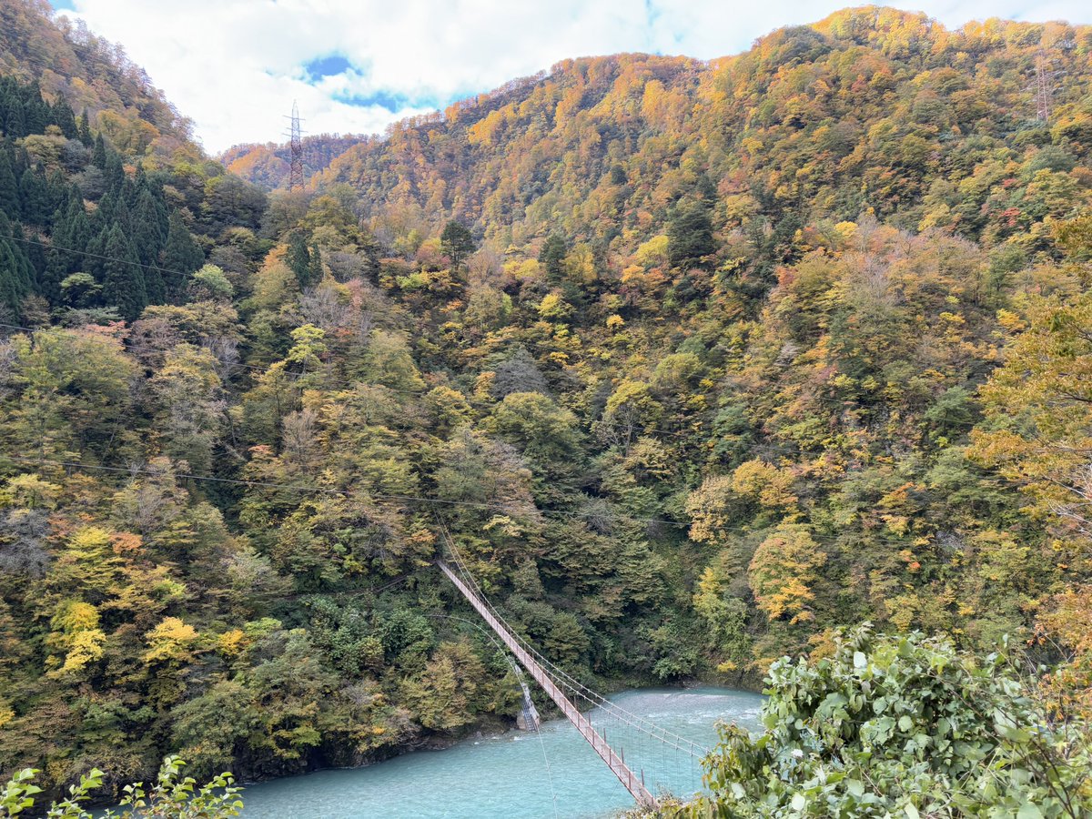 torokkodensya's tweet image. 今日はトロッコ電車🚃からの車窓風景を紹介🎶📸紅葉も見頃ですね〜🍁😊

#黒部峡谷トロッコ電車