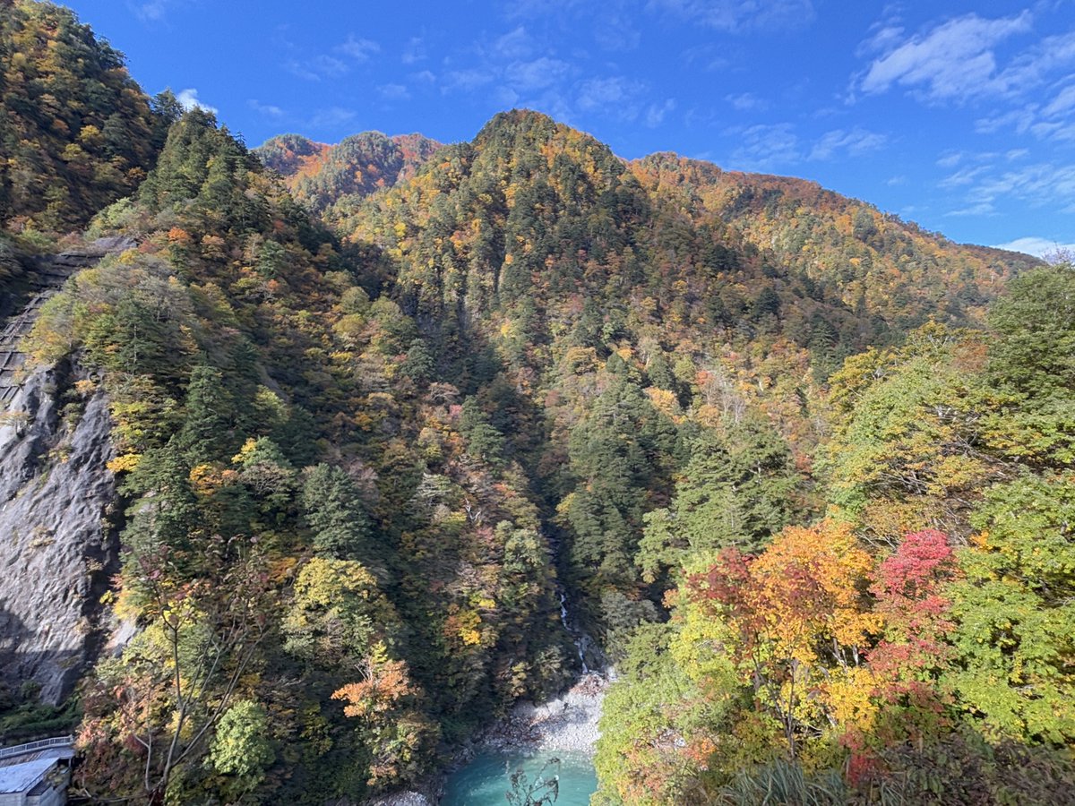 torokkodensya's tweet image. 今日はトロッコ電車🚃からの車窓風景を紹介🎶📸紅葉も見頃ですね〜🍁😊

#黒部峡谷トロッコ電車