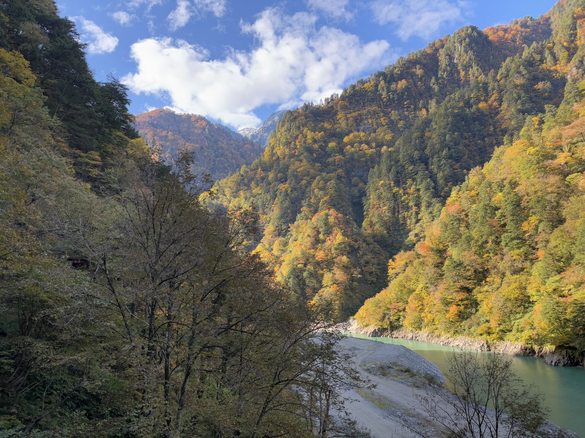 torokkodensya's tweet image. 今日はトロッコ電車🚃からの車窓風景を紹介🎶📸紅葉も見頃ですね〜🍁😊

#黒部峡谷トロッコ電車