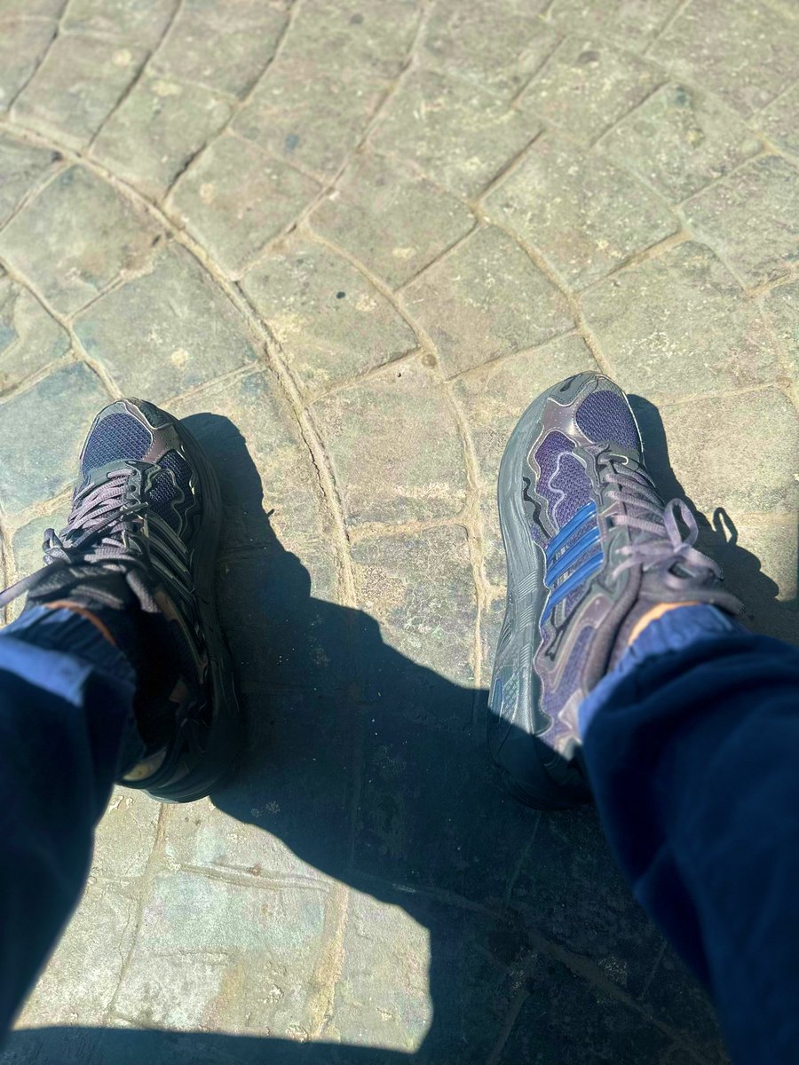 FutureSystem's tweet image. Response X 🐰😈 #Adidas #Kicks