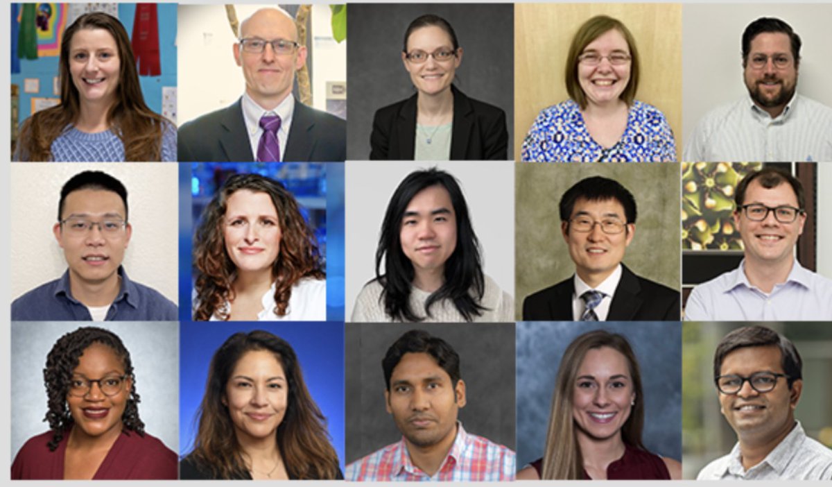 Eric Gross Lab tweet media