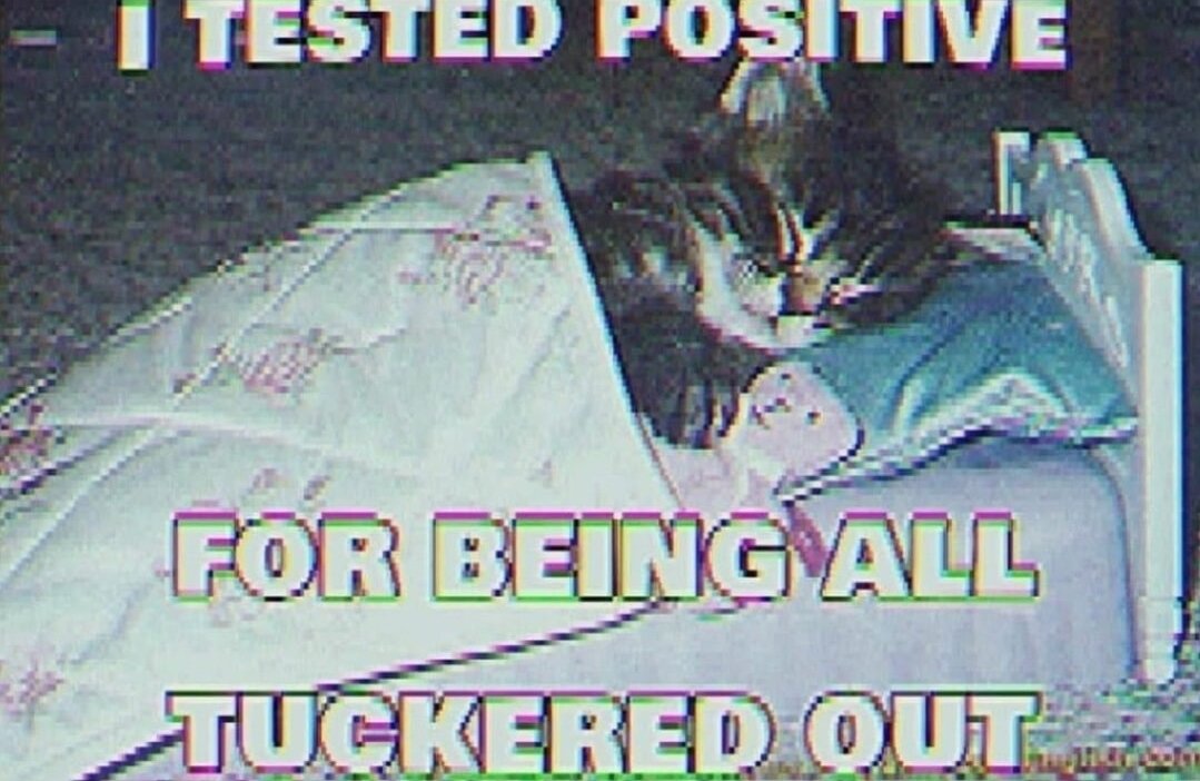 Catsillyness's tweet image. 