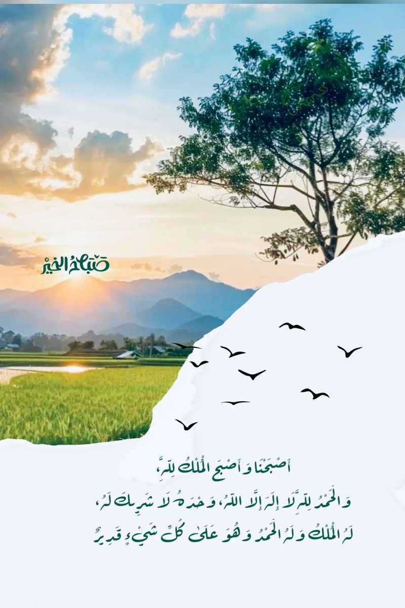 world_salami's tweet photo. أصبحنا وأصبح الملك لله اللهم صباحًا عامرًا بالبركة والرضا 🤍 #صباح_الخير https://t.co/ATMAxMbFy9