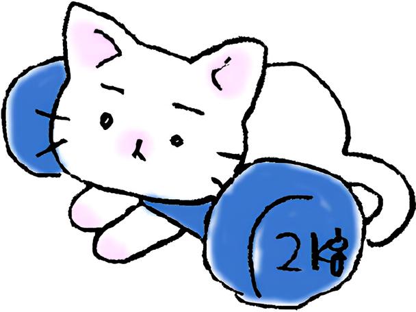 公式猫ピッチャー@18巻発売中＆祝100万部！ (@nekop_staff) / Posts / X