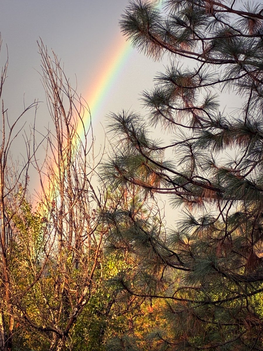 Thundercatt99's tweet image. rainbows and clouds be poetry
the creator is writing 
upon the skies

#inkMine #prompt #Rainbows #poetry #micropoetry #Writing