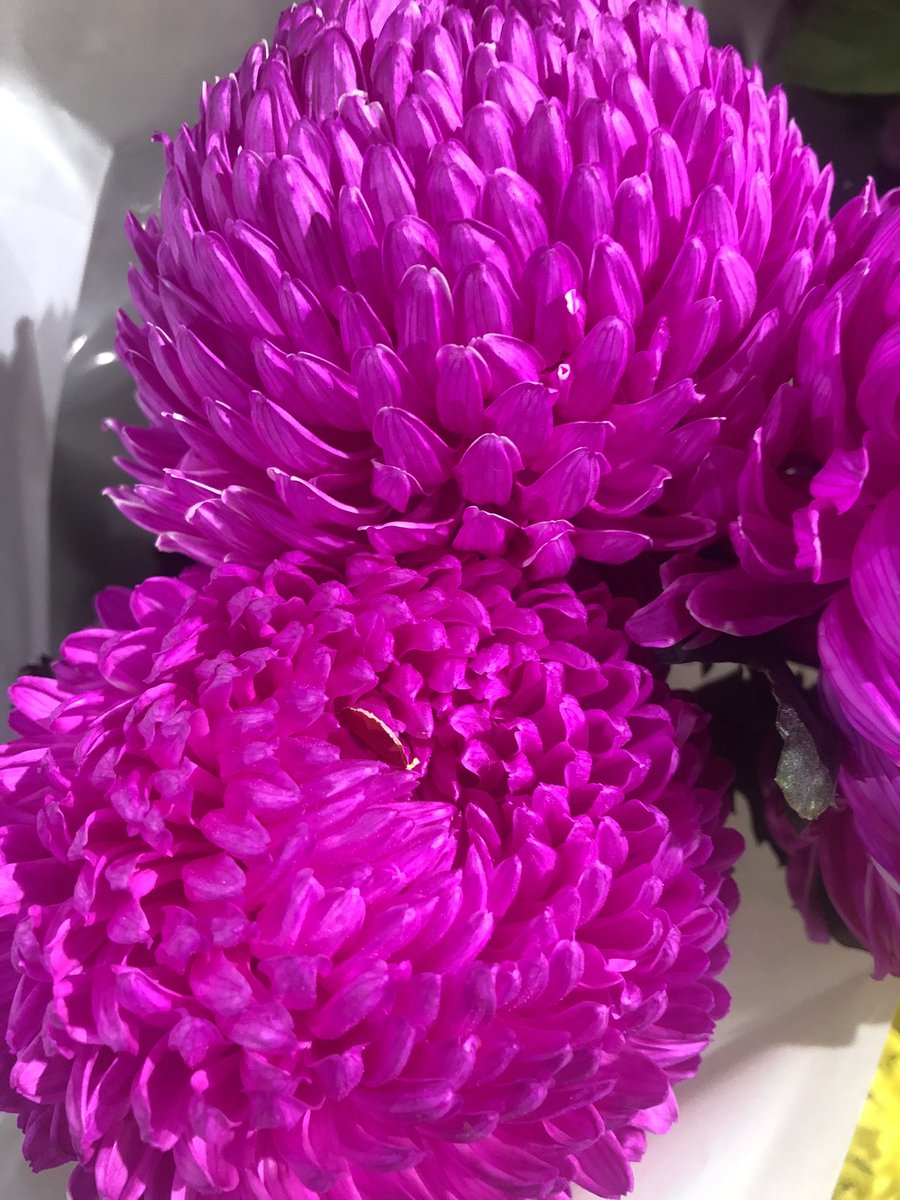 Anthony78644696's tweet image. “You have to give love to get love.”

- Robin Thicke.