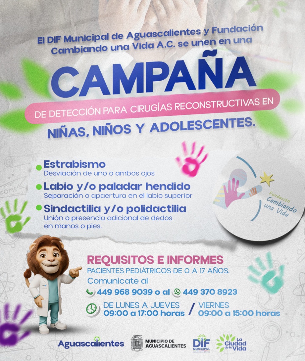LANZAN DIF MUNICIPAL DE AGS Y FUNDACIÓN CAMBIANDO UNA VIDA CAMPAÑA PARA CIRUGÍAS RECONSTRUCTIVAS INFANTILES

#Aguascalientes #DIFMunucipal #CambiandoUnaVida #CirugíasReconstructivas

albertoviverosnoticias.com/detallenota.ph…
