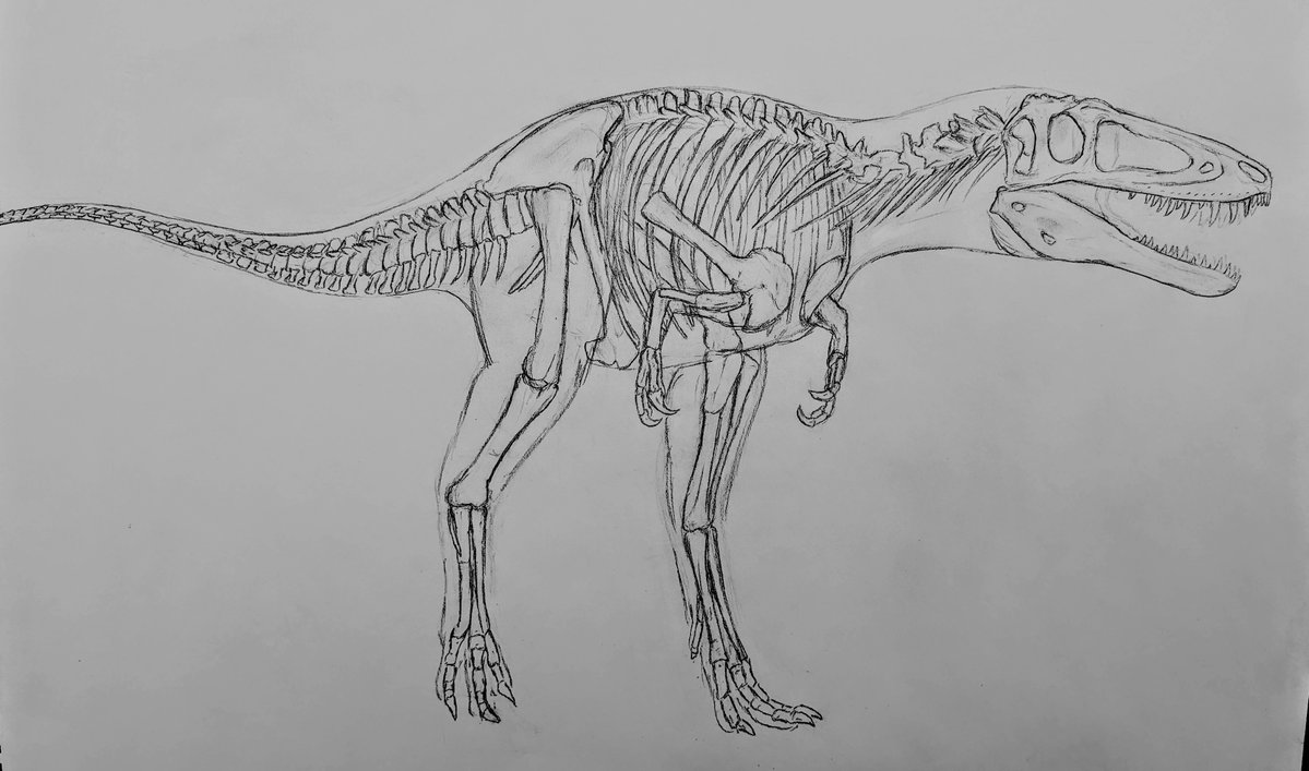 Study WIP based on a celebrity dino