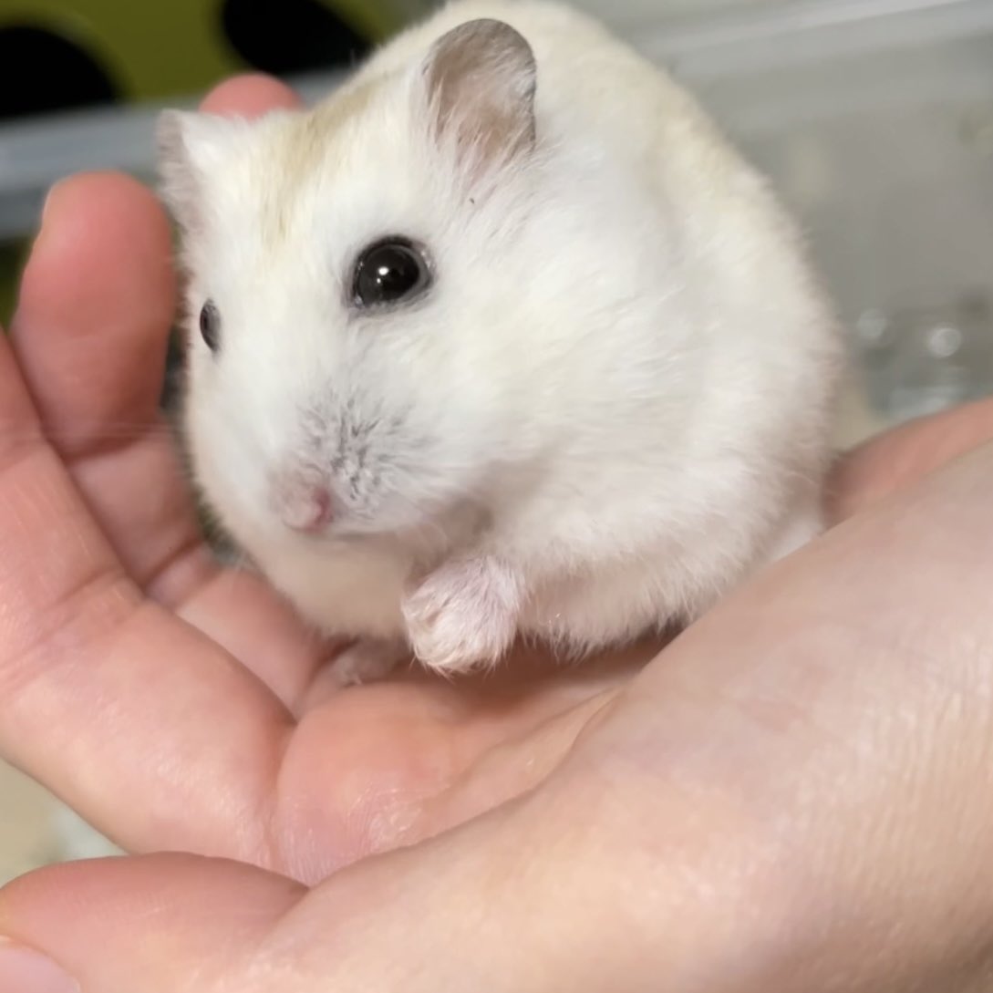 으아아 귀여워!!!!! 동그래!!!