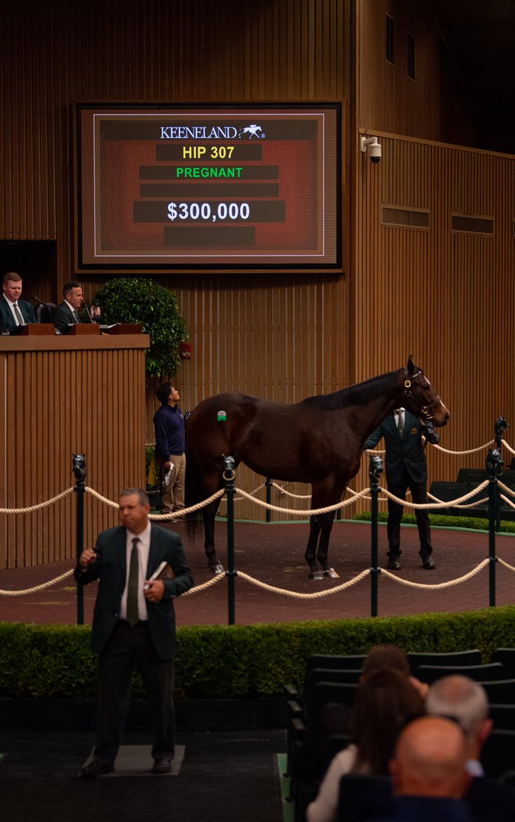 Highgate_Sales's tweet image. Our book 2 beauties @keenelandsales didn’t disappoint! 8 of our horses head home with new connections for a gross of over $1.3M - congrats to both the prior &amp;amp; new owners on a great day! 16 horses call Highgate home in barn 47 and will start showing bright &amp;amp; early!