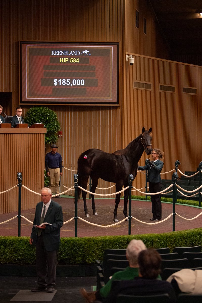 Highgate_Sales's tweet image. Our book 2 beauties @keenelandsales didn’t disappoint! 8 of our horses head home with new connections for a gross of over $1.3M - congrats to both the prior &amp;amp; new owners on a great day! 16 horses call Highgate home in barn 47 and will start showing bright &amp;amp; early!