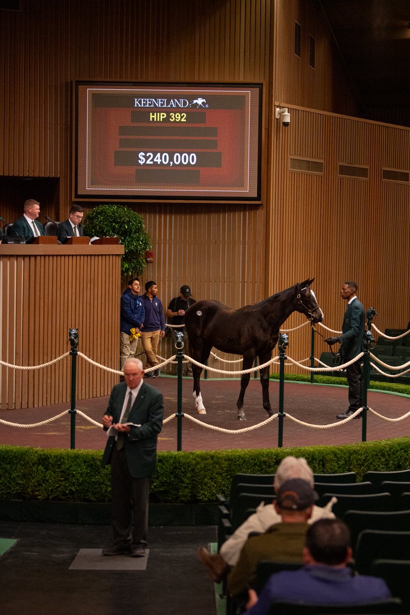Highgate_Sales's tweet image. Our book 2 beauties @keenelandsales didn’t disappoint! 8 of our horses head home with new connections for a gross of over $1.3M - congrats to both the prior &amp;amp; new owners on a great day! 16 horses call Highgate home in barn 47 and will start showing bright &amp;amp; early!
