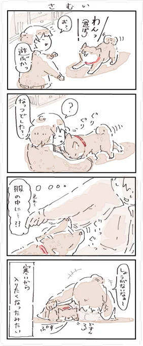 #4コマ漫画 #柴犬
さむい 