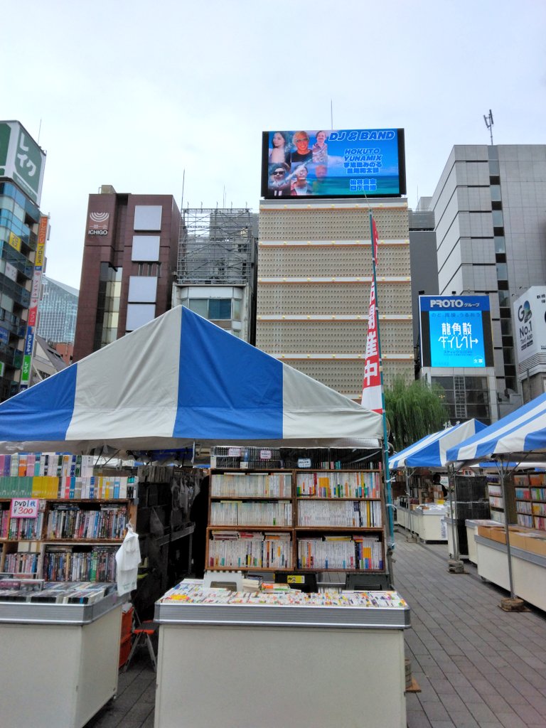 まぁさま 伏見まり＠さけうまLINE販売中 on X