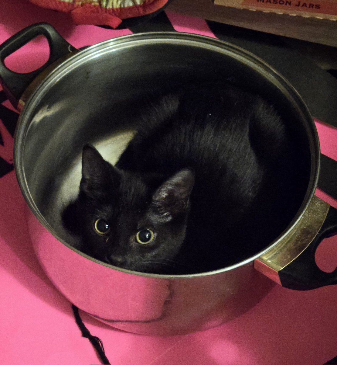 In Light of recent events, I've asked mum to cook MT for supper  
~ Lincoln