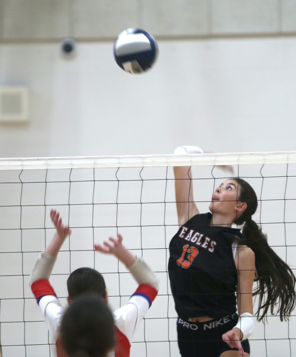 Mike Koff tweet media