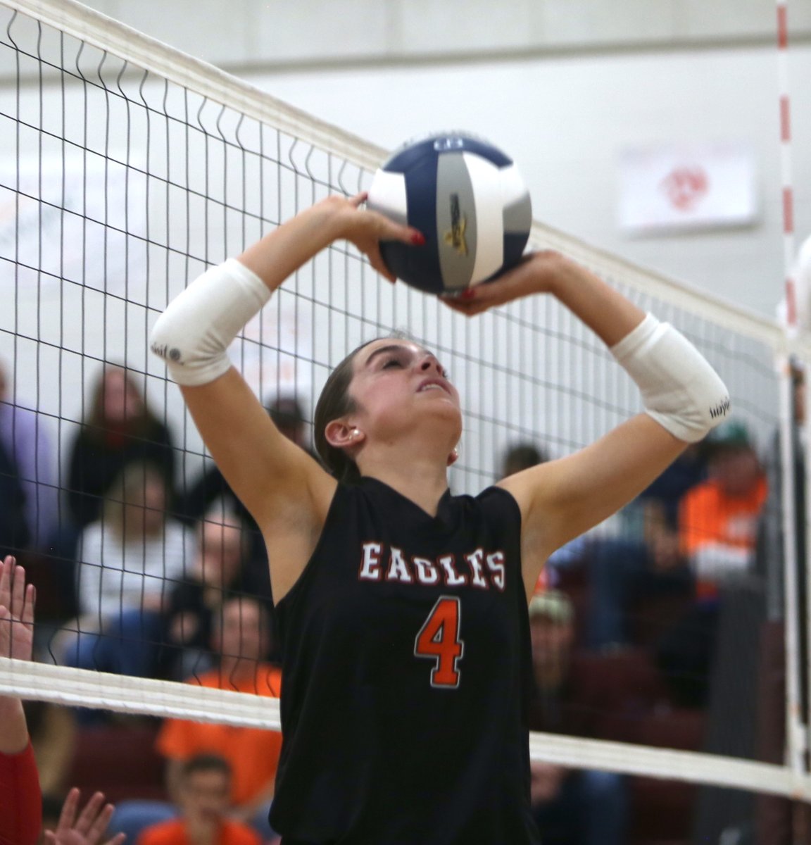 Mike Koff tweet media