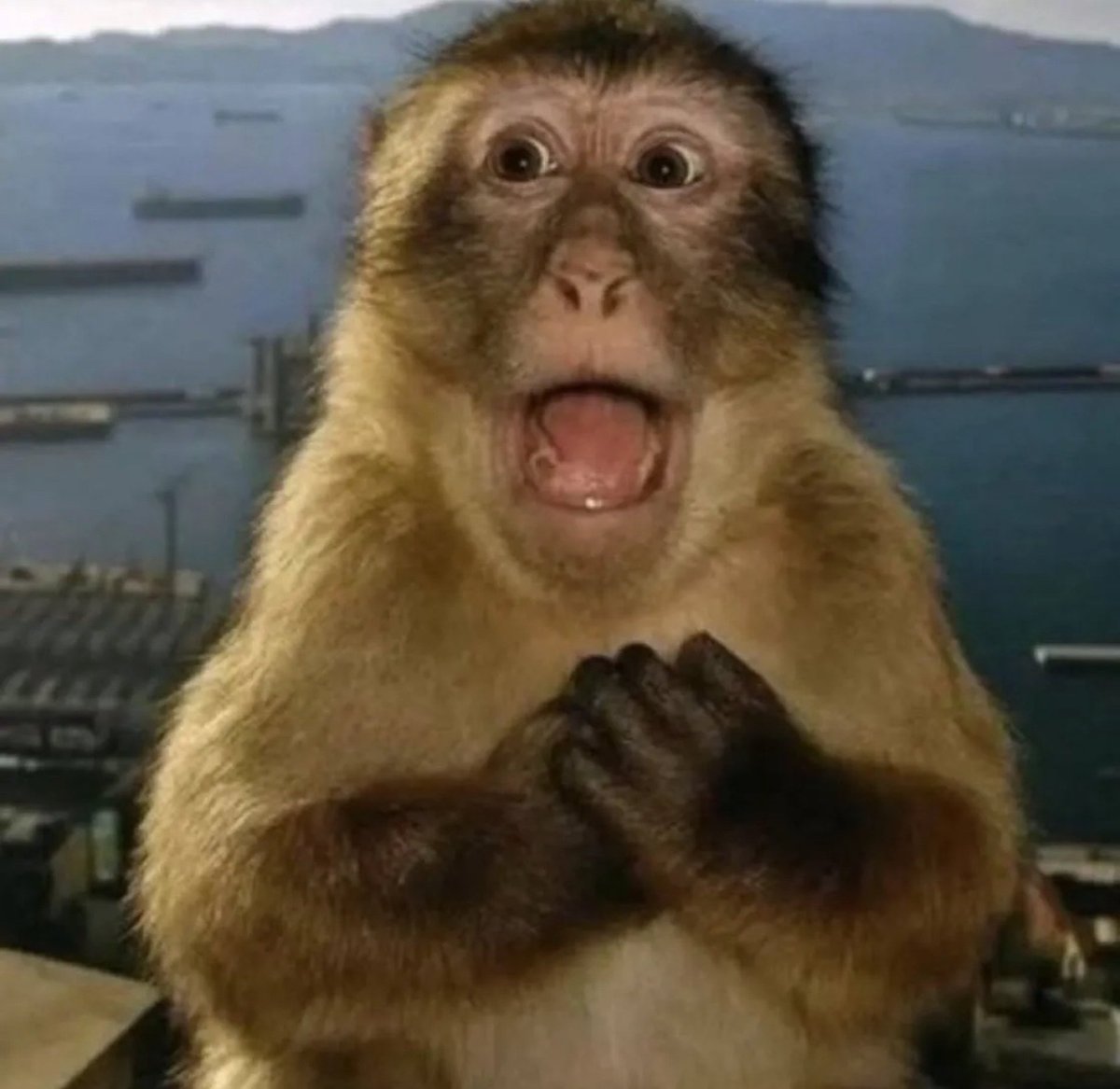 web3speed's tweet image. 