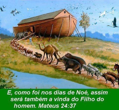 ❤️Missionária Sandra tweet media