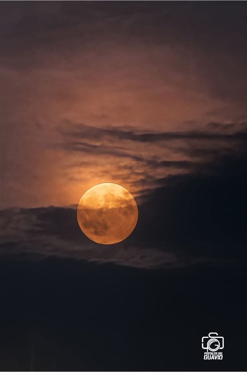🌖 La reina de la noche se ha vestido de gala. La Luna Llena inunda el paisaje con su luz, transformando lo ordinario en algo sublime. Un recordatorio de la belleza cíclica de la vida y la inmensidad que nos rodea. 

#PostalesDelGuavio #Guavio #LunaLlena #Cundinamarca