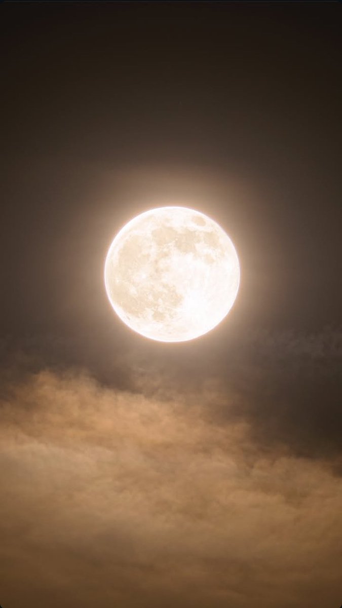 logidrigo's tweet image. Criação perfeita do Criador.