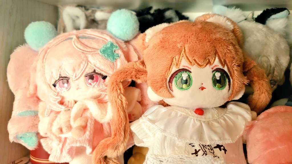 羽໒꒱ tweet media