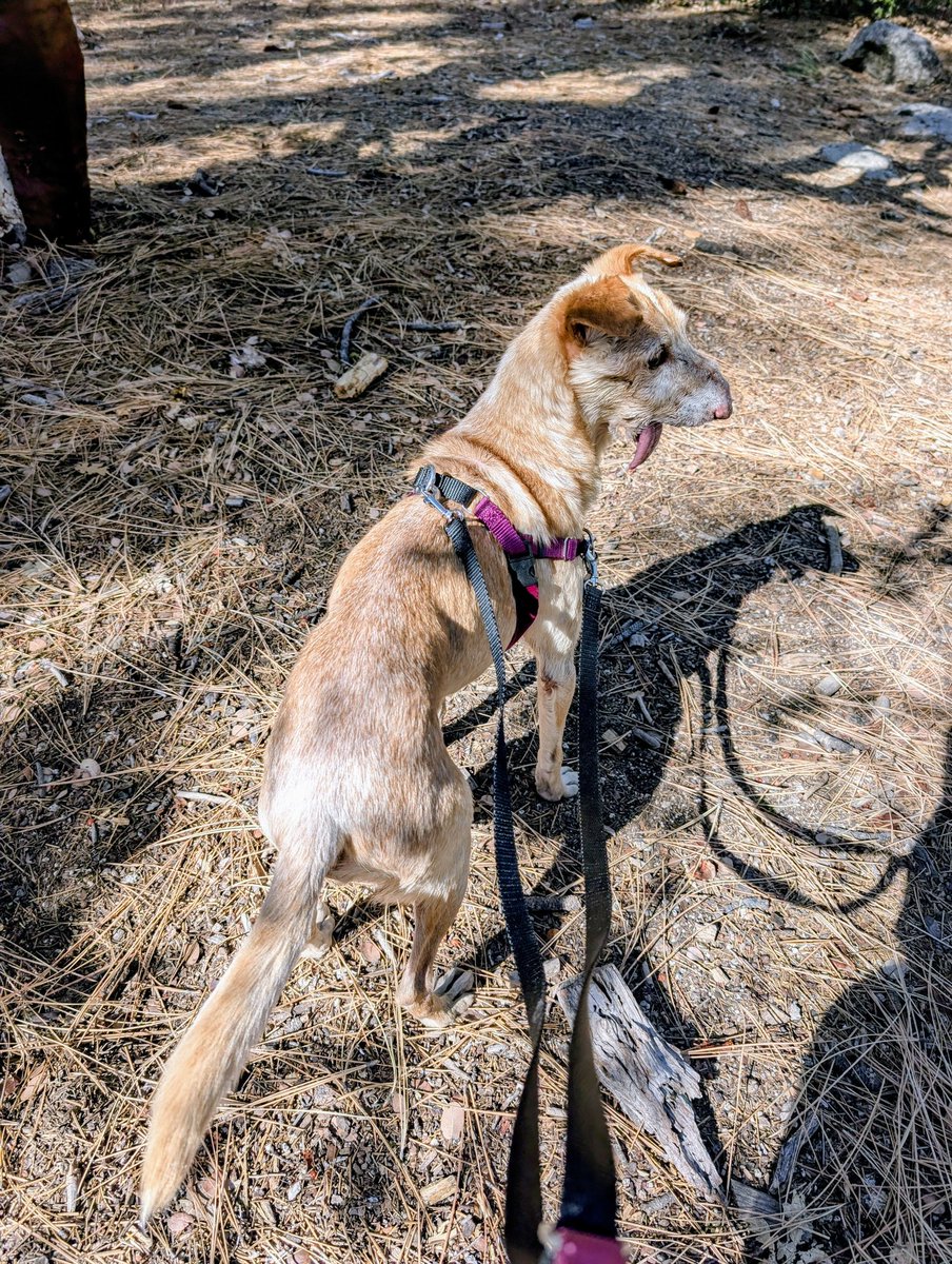 MercyWright tweet media