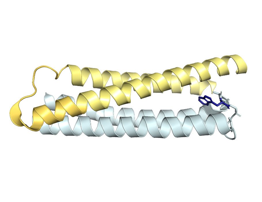 LabWaggoner's tweet image. MHC class II immunopeptidomics in human phagocytes infected with Mycobacterium tuberculosis enables vaccine immunogen design and optimization
science.org/doi/10.1126/sc… @ScienceTM