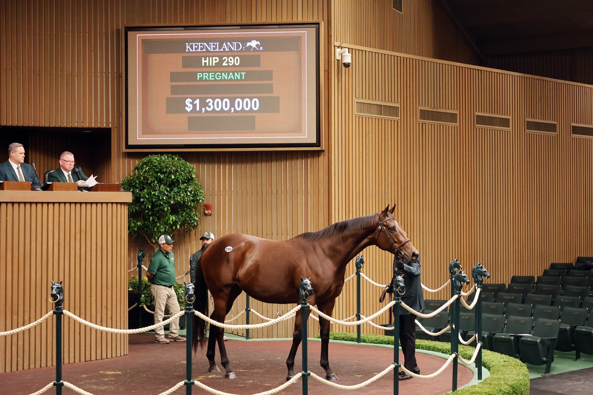 NEWS: Sales on Day 2 of Keeneland November Nearly Double Amount from Last Year with $1.3 Million Broodmare Anywho. Read more → bit.ly/47IukqG