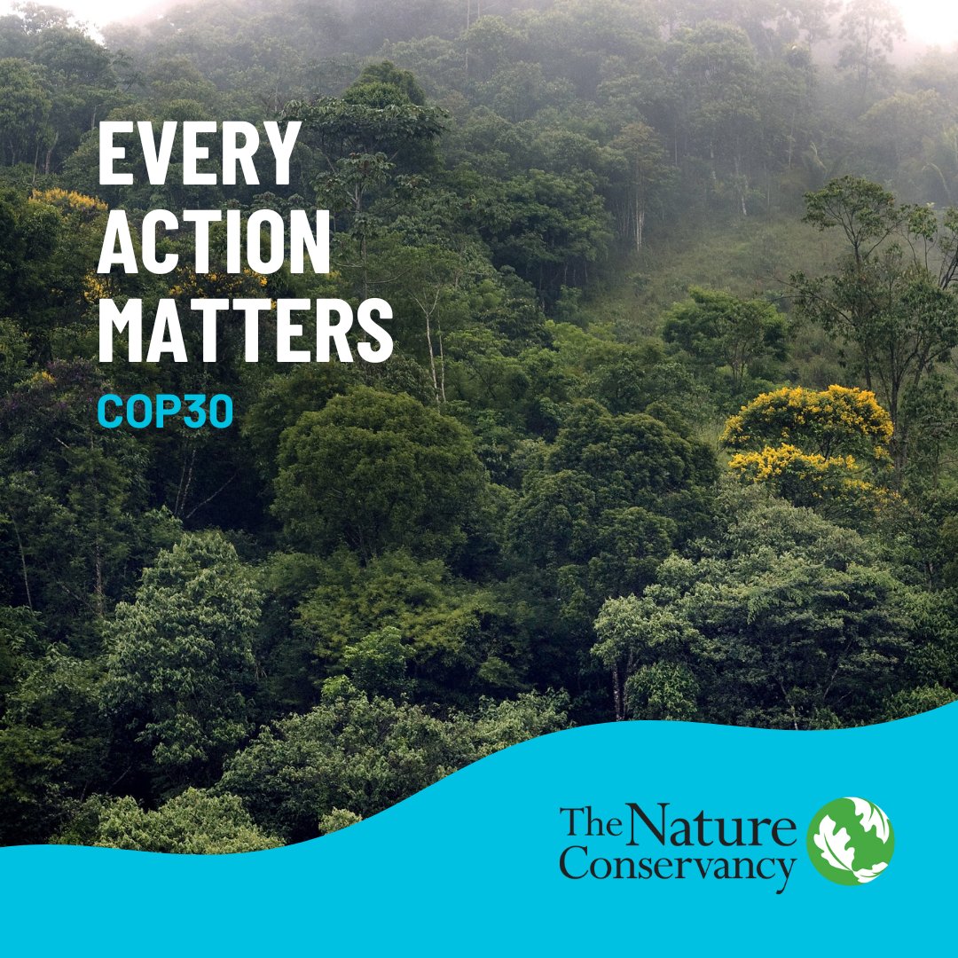 The Nature Conservancy tweet media