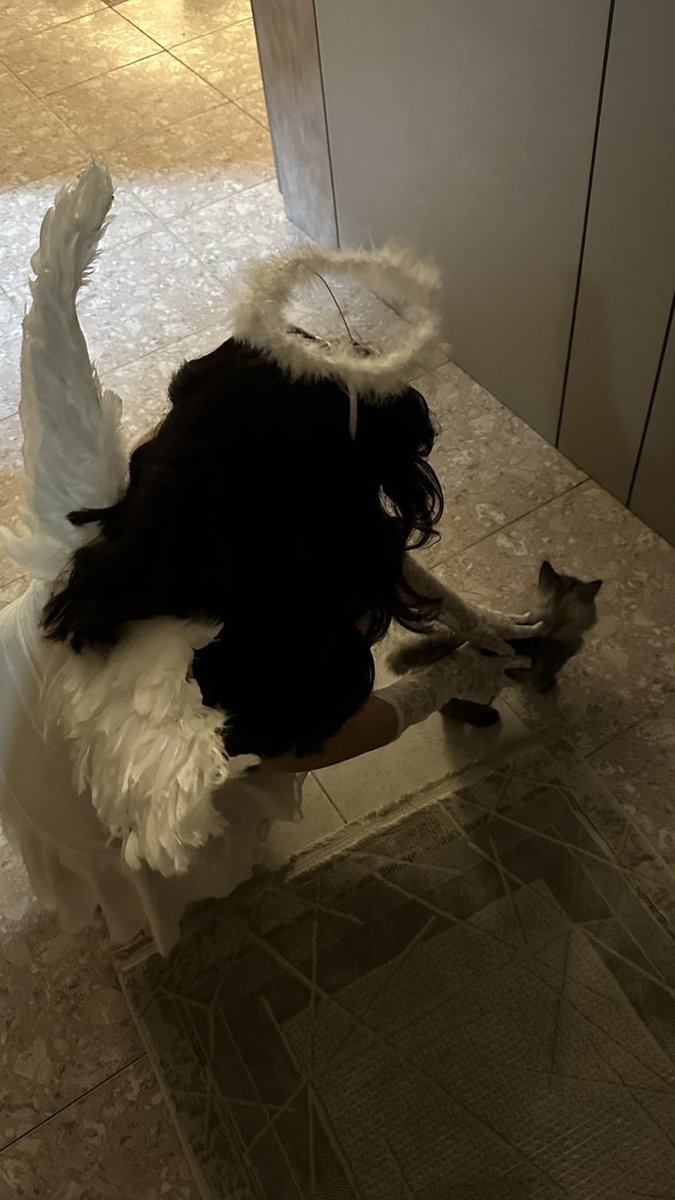 rtieul's tweet image. 