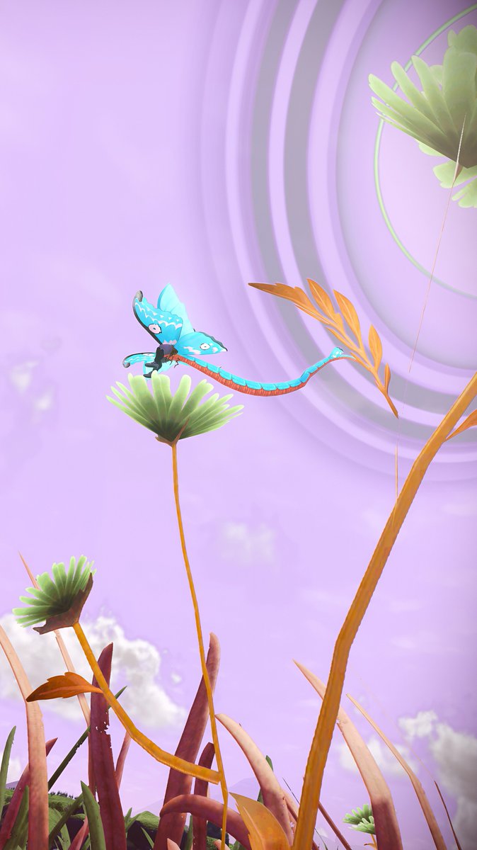 いい感じに撮れた!