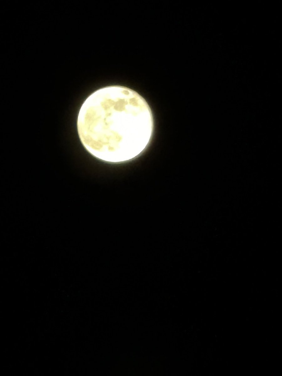 WLMS_AVID's tweet image. Middle schoolers and a full moon🌝