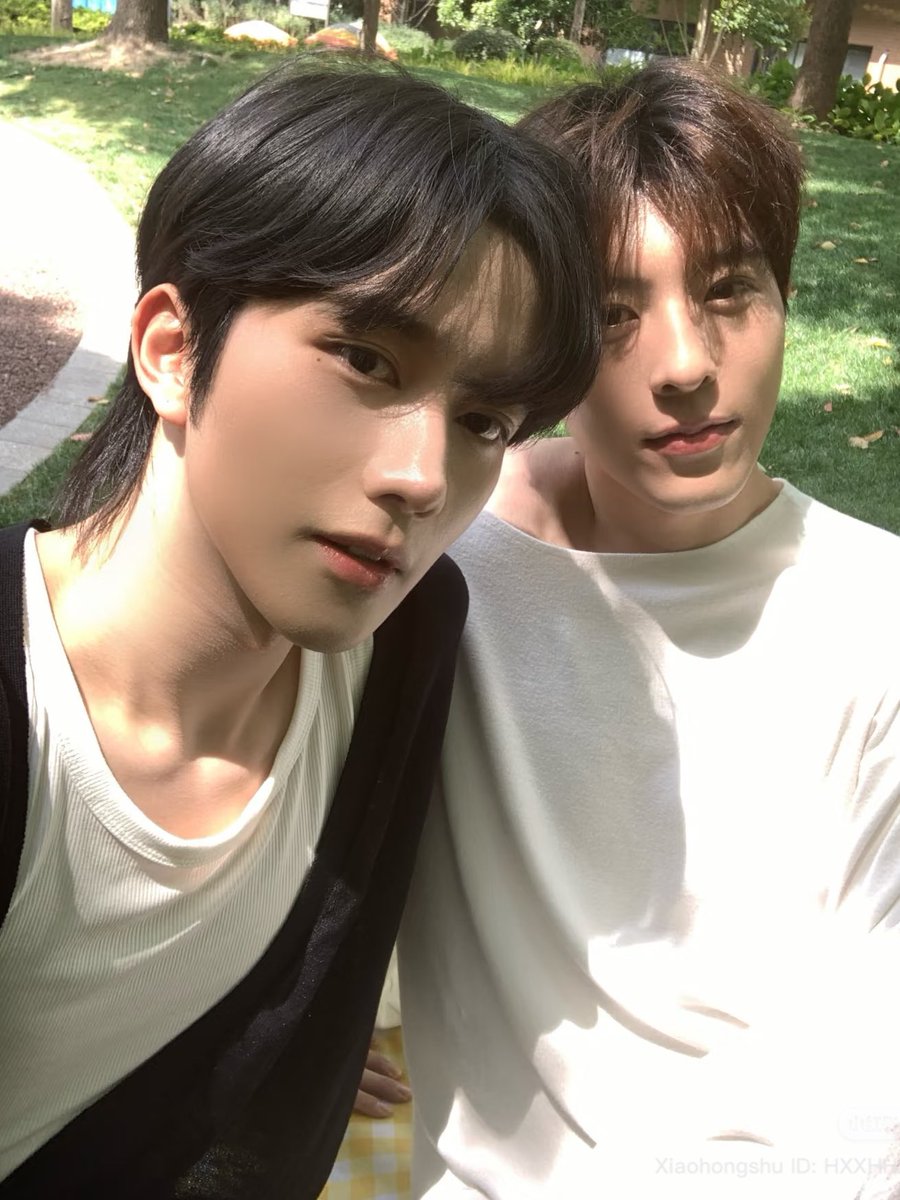 𝐚𝐧 ◞ tweet media