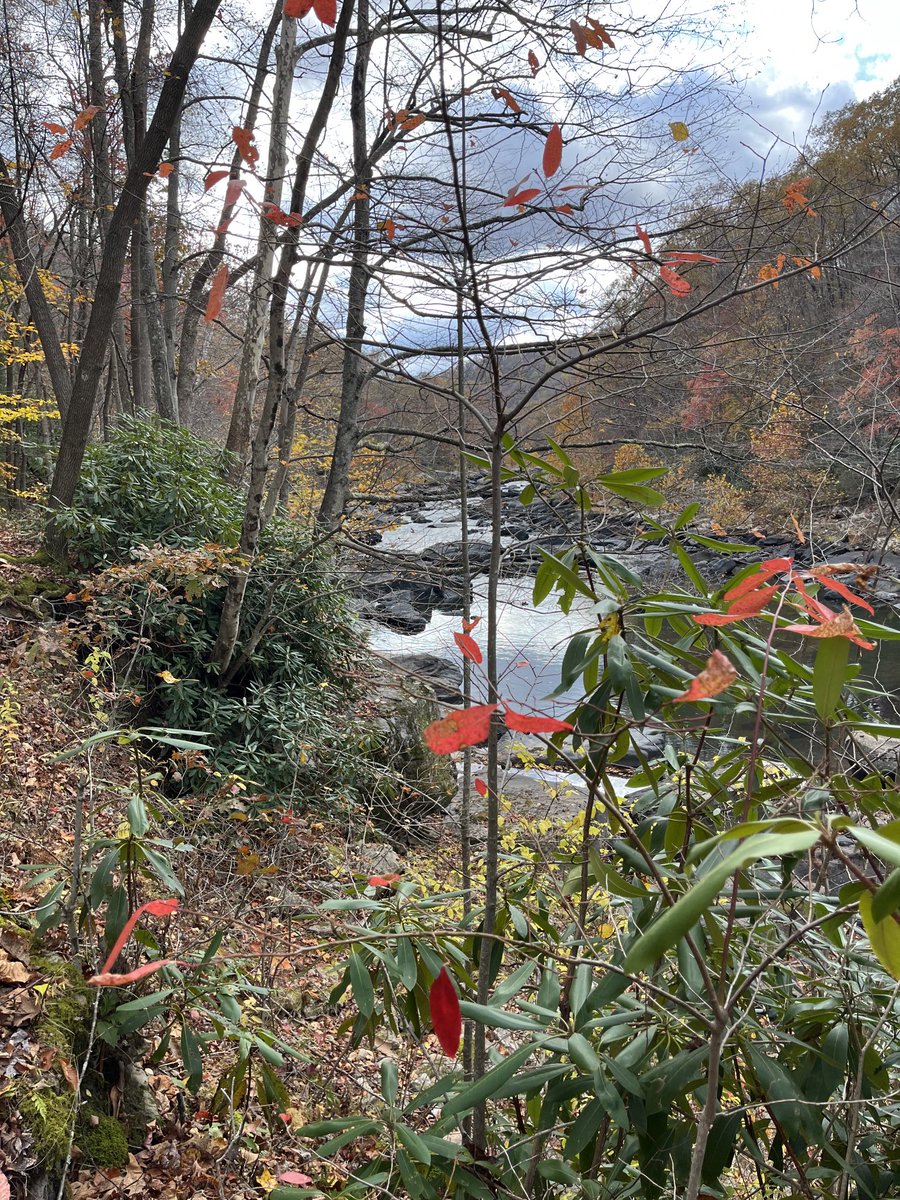 Fran Wagner (@fwgreco) on Twitter photo 