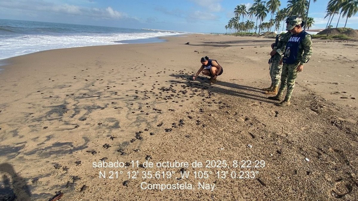 Joaquín López-Dóriga tweet media