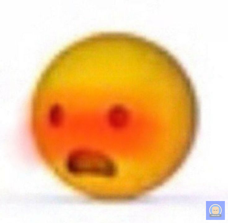 Roblox Fess tweet media