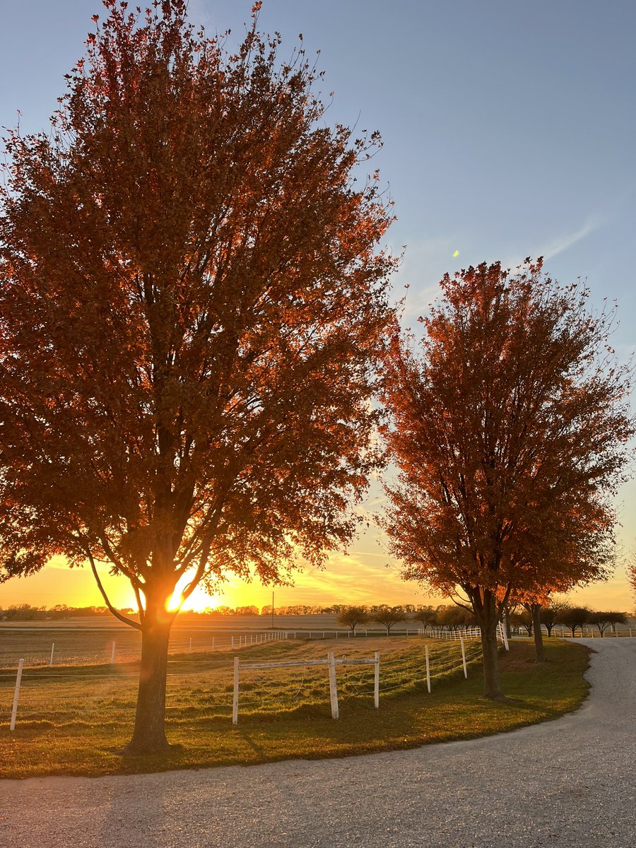 Grateful for another day! Thank you God! 🇺🇸 🥩 

Psalm 19:1