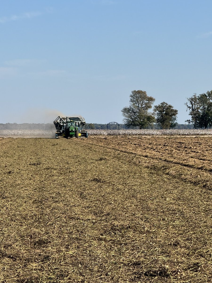 Zachary Treadway tweet media