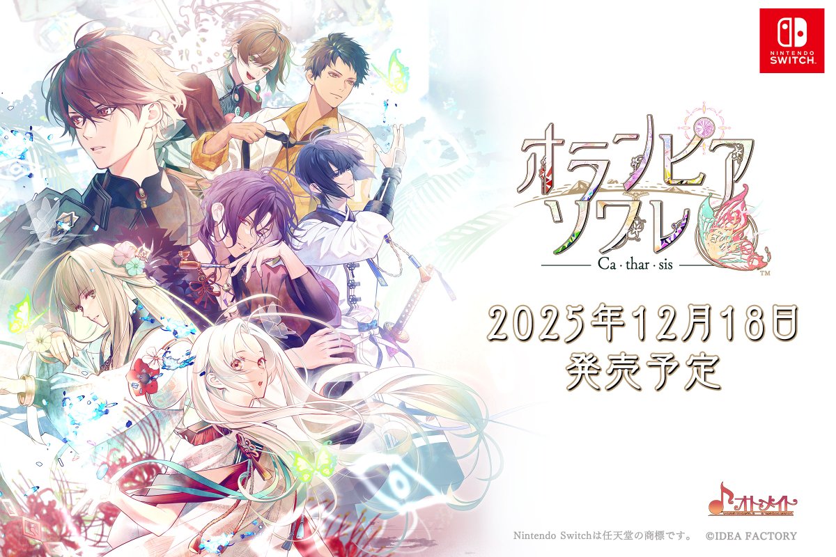 🌊 製品情報 🌊 ￣￣￣￣￣￣￣ 〖 オランピアソワレ Catharsis