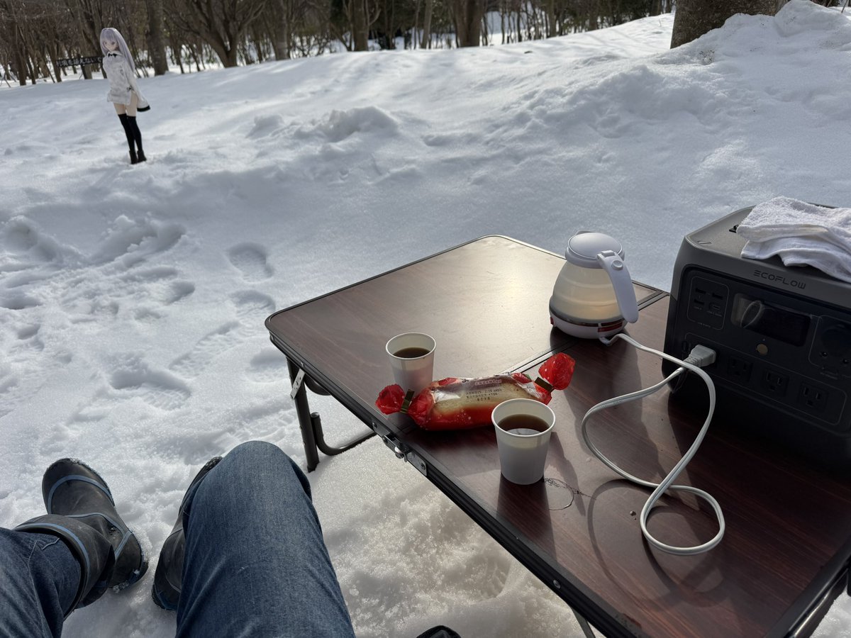 【美作ドール部各位】
前シーズンに実施した『蒜山雪上撮影会』またやりたいですか？
賛成ならコメくだしあ。時期は来年2月7日〜を考えております。