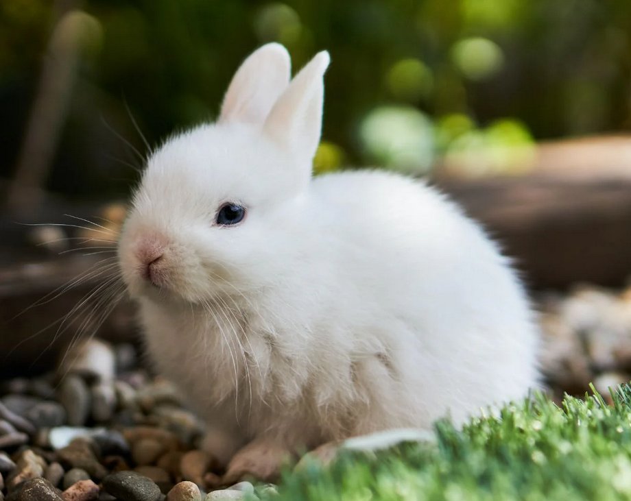 Slippery_ (@slipperylmao) on Twitter photo 