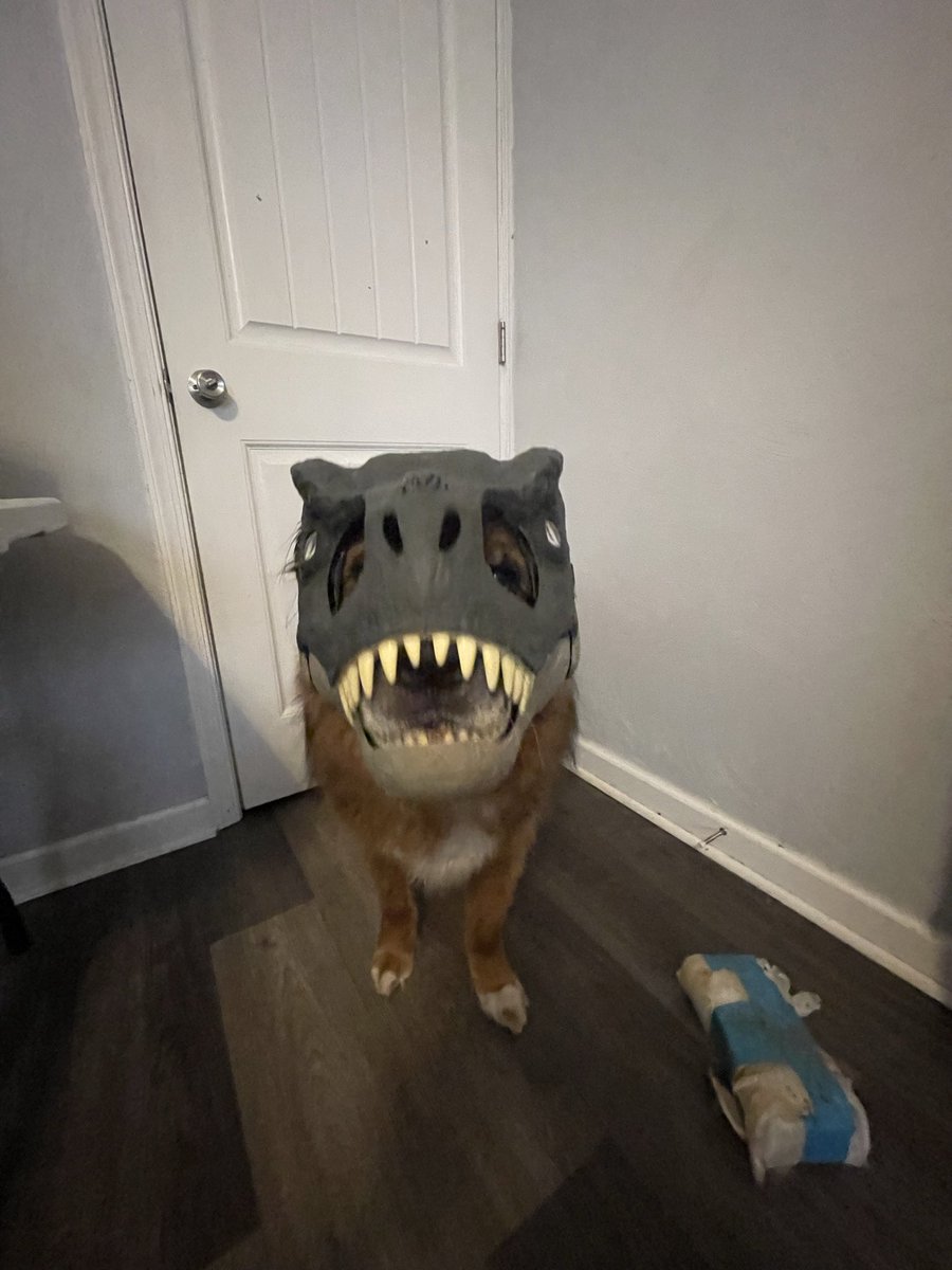 WarpScorp's tweet photo. Chomp or Treat https://t.co/EqBt4RC6dY
