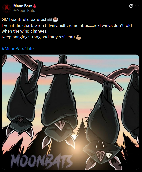 akidcalledflex's tweet image. Can someone from the @Moon_Bats team tell my why I should be hangin? Your 3d collection has been delayed for months. When it&apos;s dropped why would anyone want to buy because your current collection and $BLOOD coin are failing. Is it because you are part-time? DYOR
