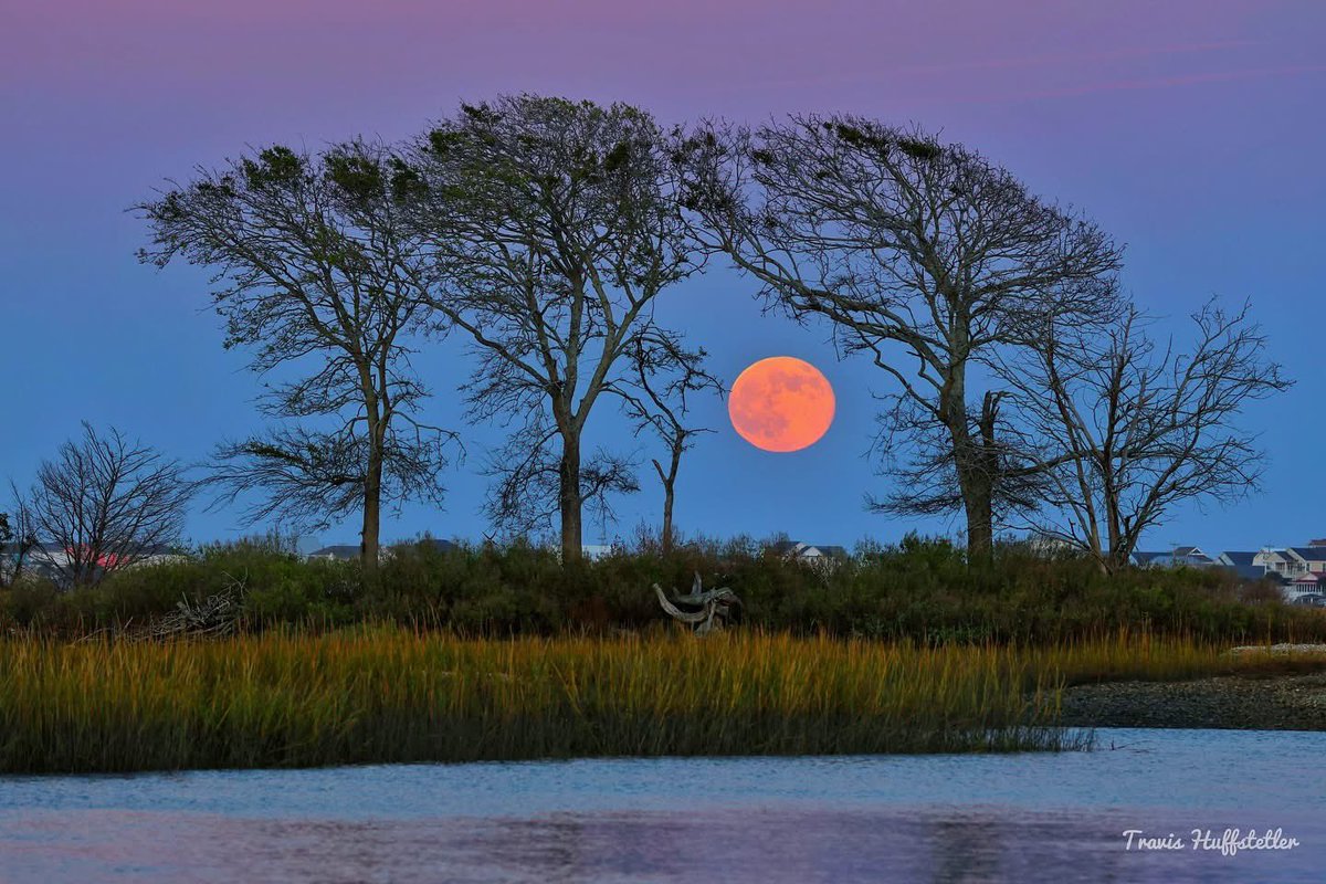 EdPiotrowski's tweet photo. Gorgeous full moon rising over Murrells Inlet tonight.  Awesome Travis Huffstetler. https://t.co/HQRwEFvjIl