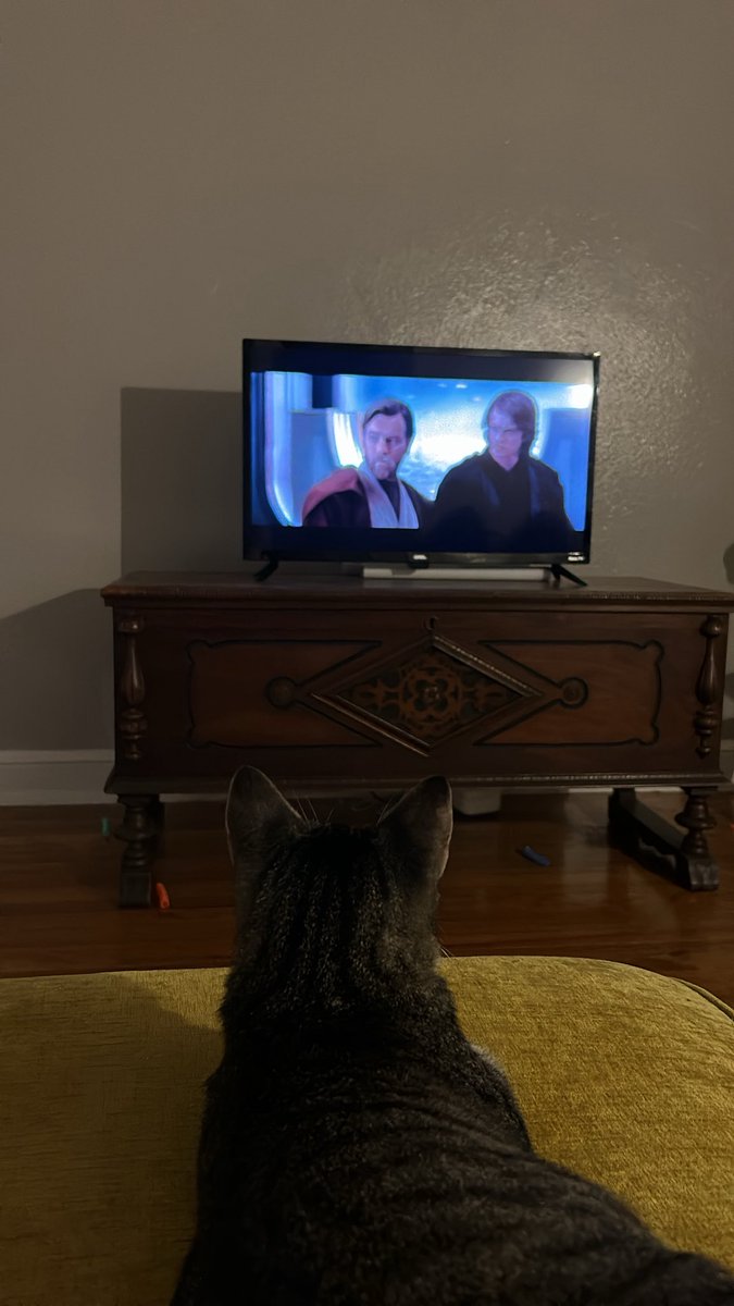 em_fran16's tweet photo. #StarWars Episode III
Jolene is locked in! https://t.co/MceG8tSG4H