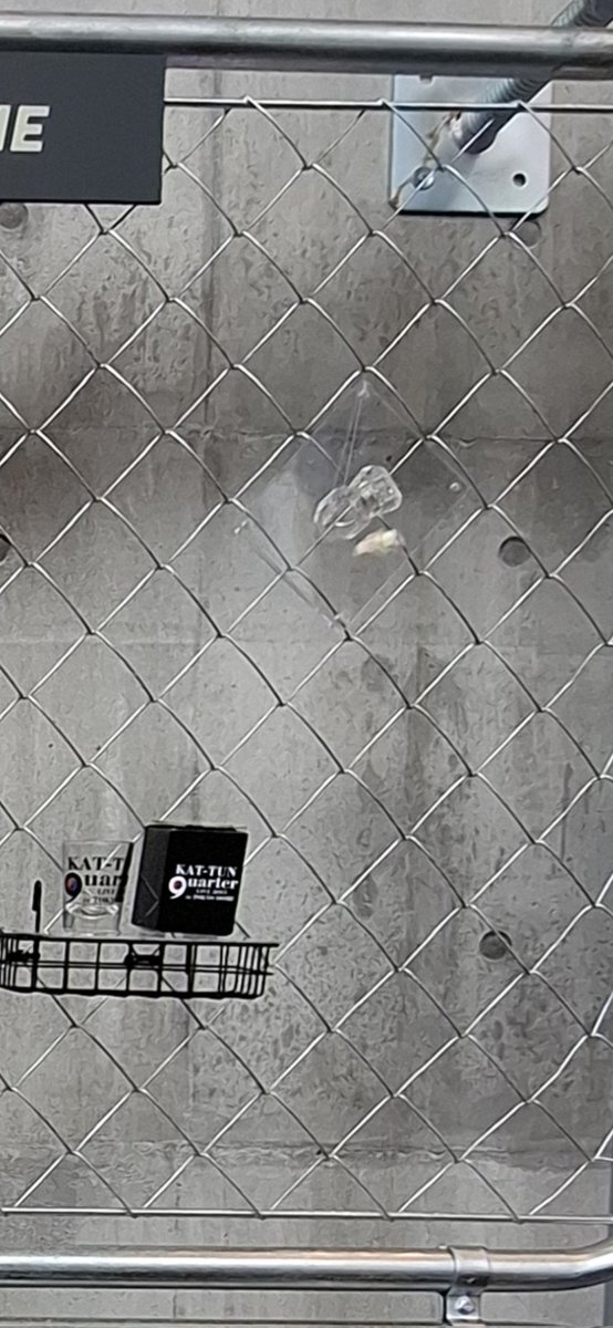 ぴろ on X ぴろ on X