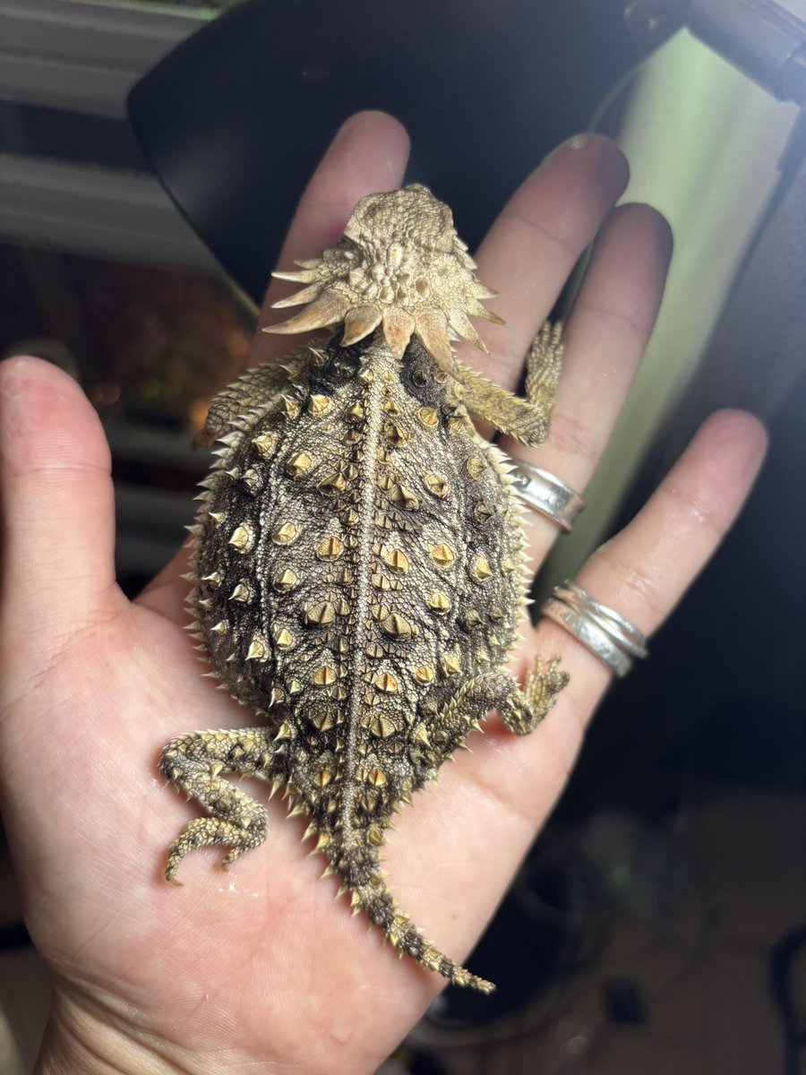 taaabow (@taaabow3) / Posts / X