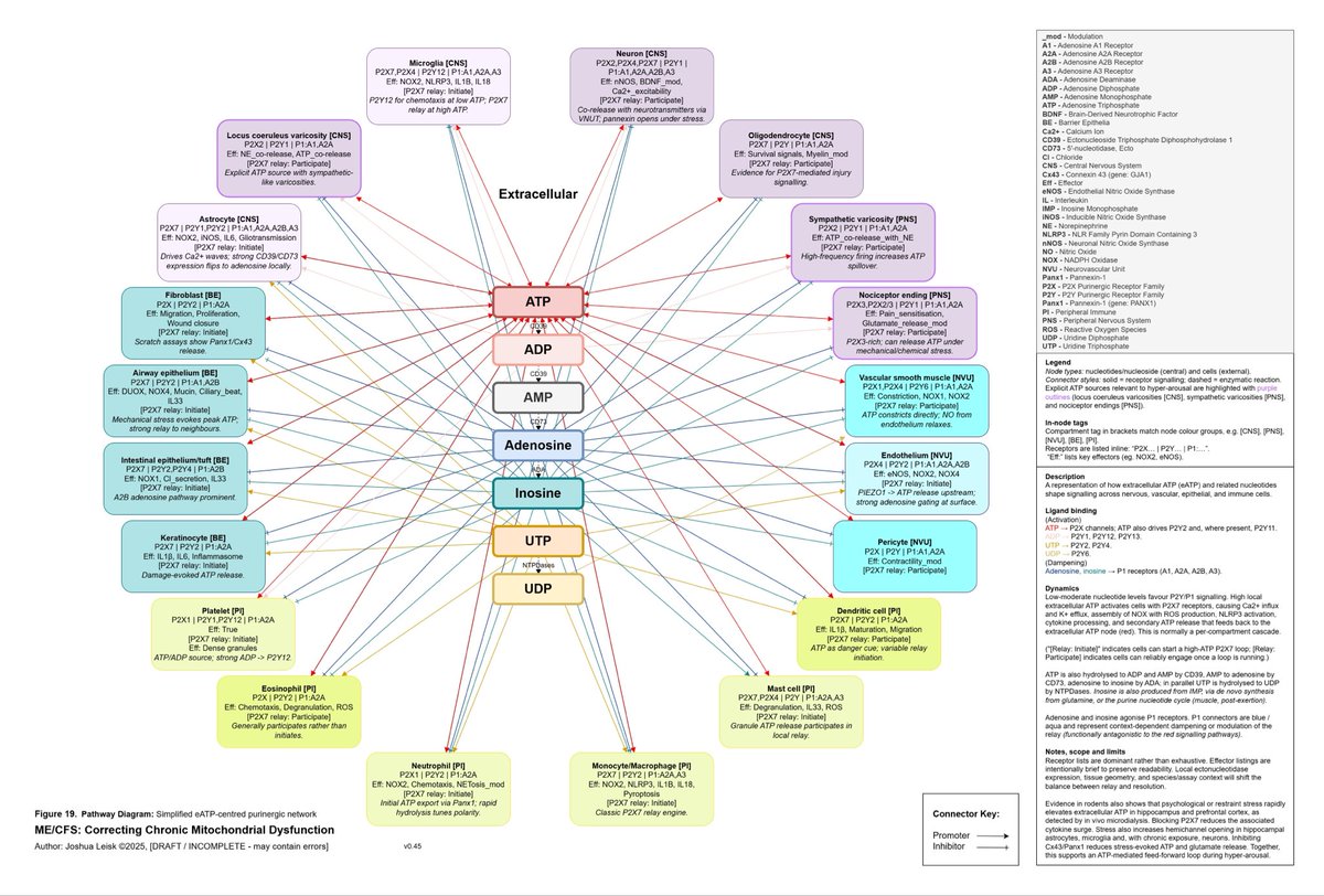 Joshua Leisk tweet media