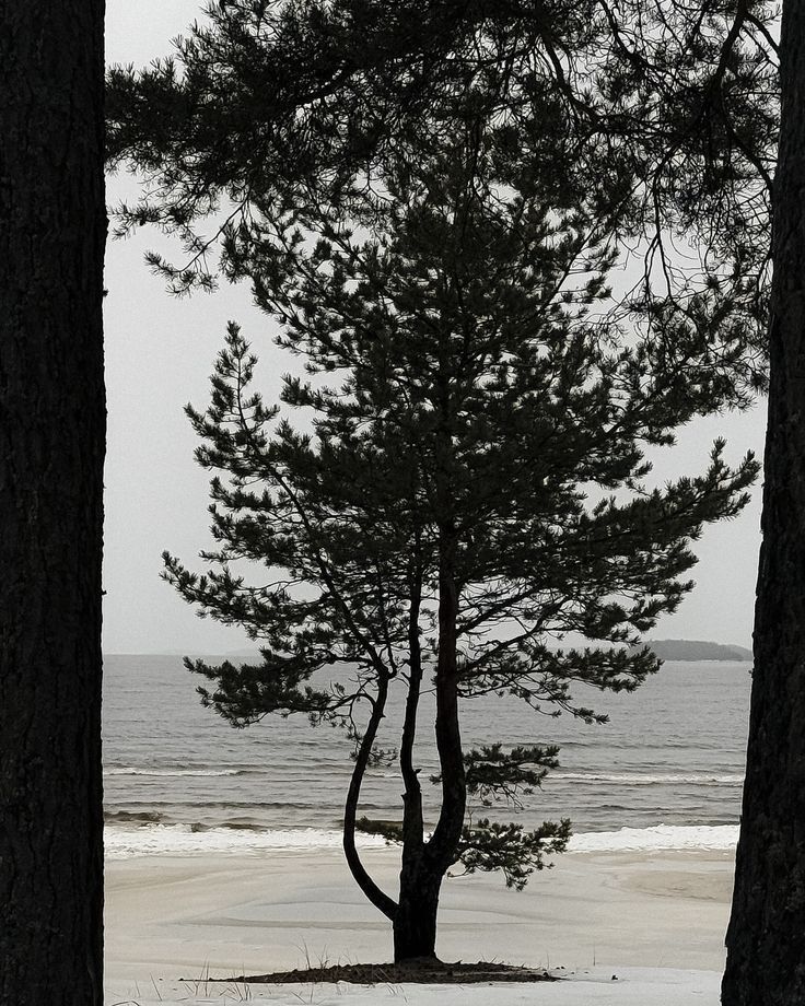 eternable's tweet image. nov. 05,  "El mundo, Ella y Yo" / ss.
eternablesblog.my.canva.site